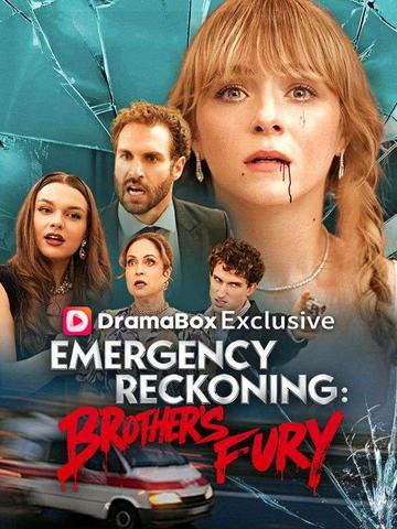 Emergency Reckoning: Brother's Fury official promotional image