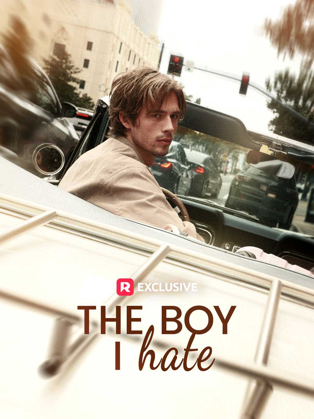 The Boy I Hate official promotional image