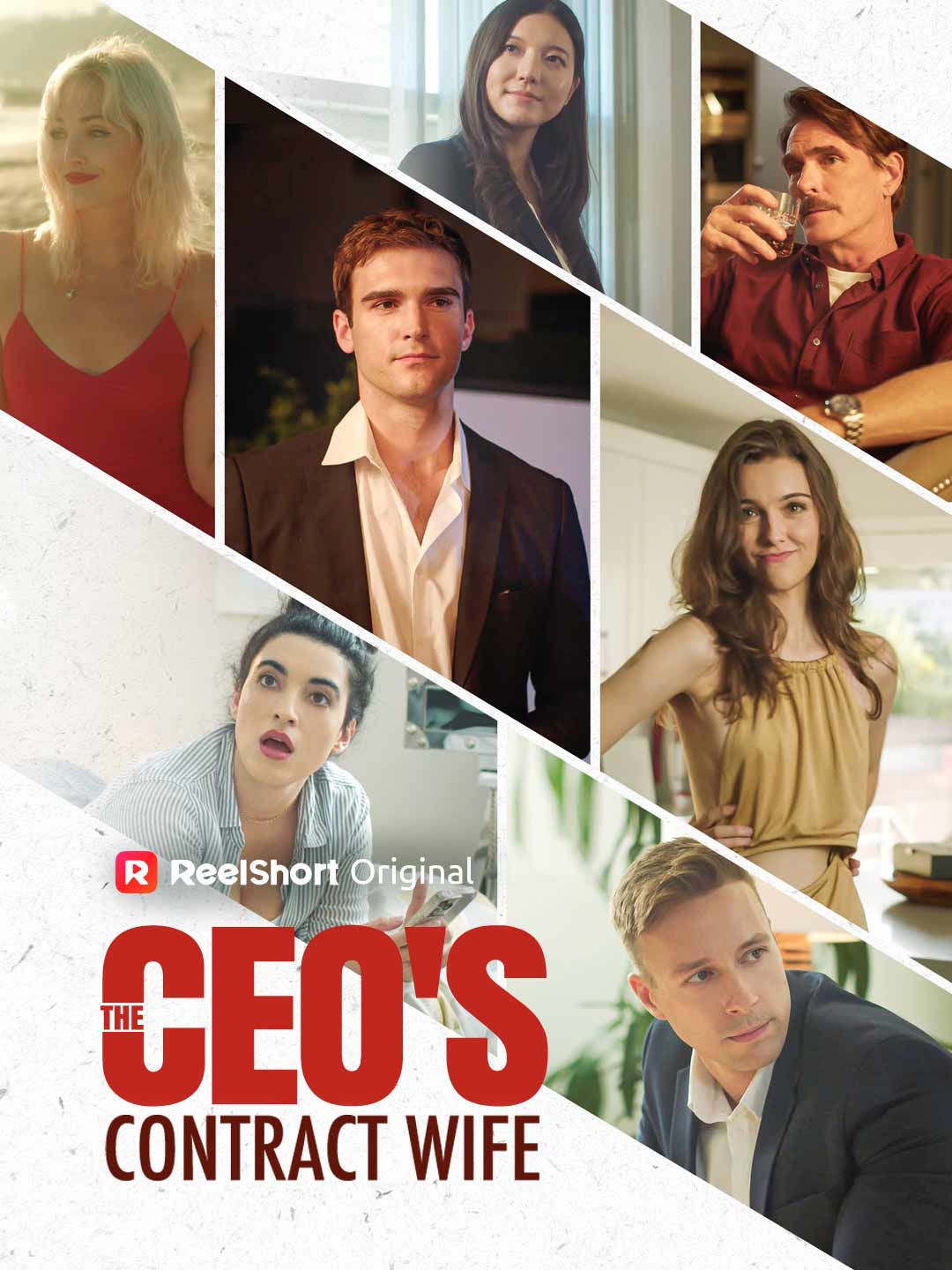 The CEO's Contract Wife official promotional image